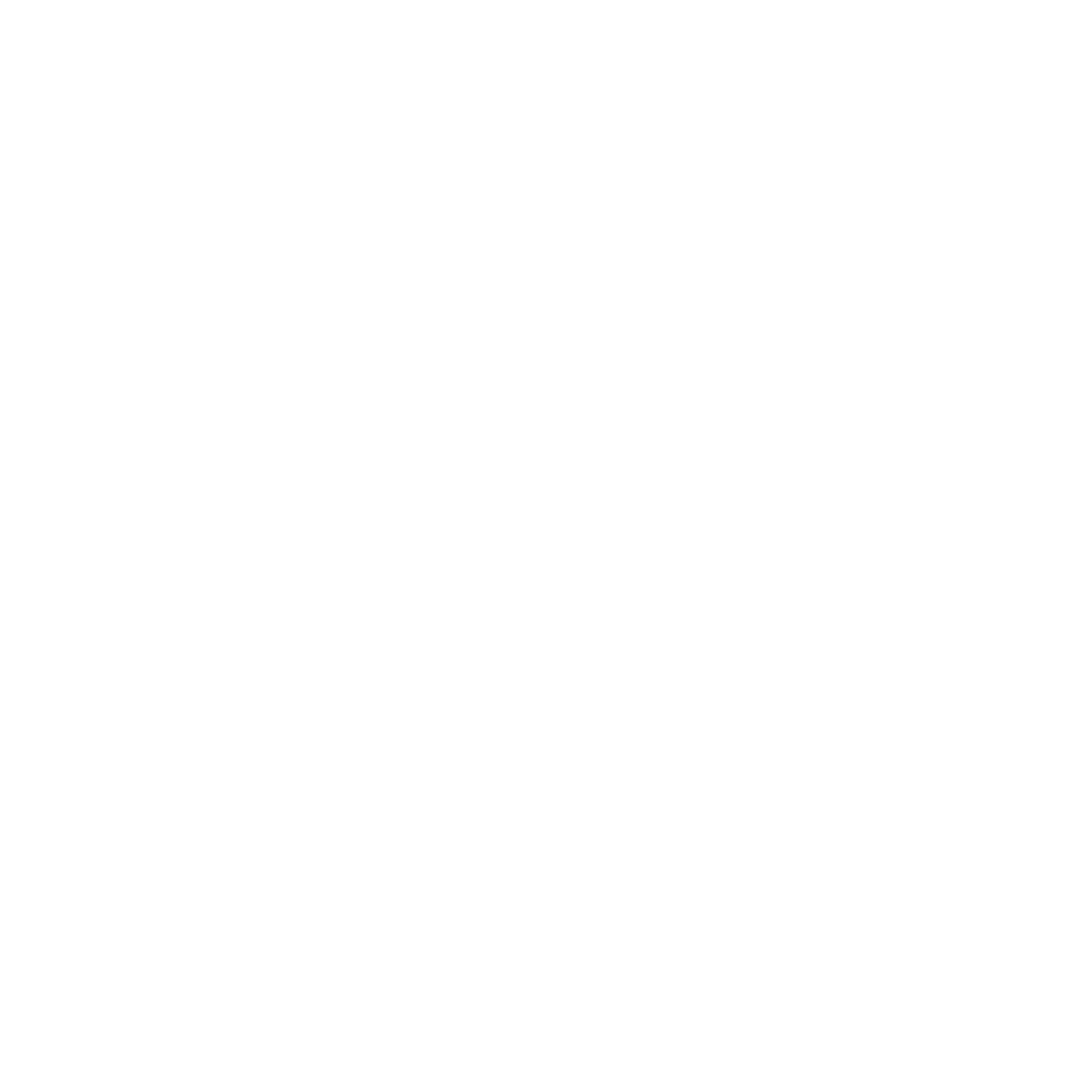 Root News Logo